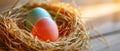 Nesting Beauty: A Colorful Egg in an Easter Straw Nest