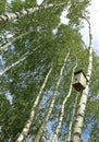 Nesting box Royalty Free Stock Photo