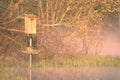 Nesting Box Royalty Free Stock Photo