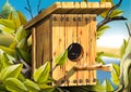 Nesting box for birds Royalty Free Stock Photo