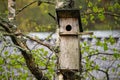 Nesting box in the tree on a cloudy day. Wooden bird house hanging on the tree branch outdoors Royalty Free Stock Photo