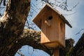 Nesting box in the tree on a sunny day. Wooden bird house hanging on the tree branch outdoors Royalty Free Stock Photo