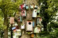 Nesting-boxes Royalty Free Stock Photo