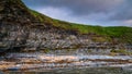 Nesting Kittiwakes and Fulmer on Howick Cliffs