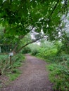 Nesting time nature reserve forest pathway UK