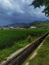 The Idyllic Charm of Rural Living: Green Meadows, Rolling Hills, and Cloudy Skies