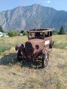 Old Rusted Truck in a meadow 3