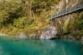 Nestled among mature beech and podocarp forest, these pools of deep, clear water flowing into the Makarora River offer a moment of Royalty Free Stock Photo