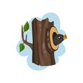 Nestling sitting in hollow tree, hollowed out old tree and cute bird inside vector Illustration on a white background