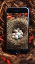 nests of weaver birds against a stunning natural backdrop