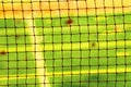 Net background for badminton game Royalty Free Stock Photo