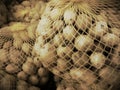 Net bag with little potatoes Royalty Free Stock Photo
