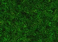 Net of bright curled lush green grass backgrounds Royalty Free Stock Photo