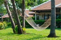 A net hammock between palm trees in a park near a house in a hotel with green lawn