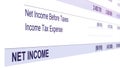 Net income underlined accounting information, small business year budget table