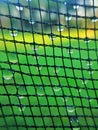 Net pattern with dew drop Royalty Free Stock Photo