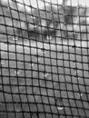 Net pattern with dew drop Royalty Free Stock Photo
