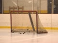 Net with pucks Royalty Free Stock Photo