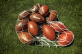 Net of rugby balls on the grass