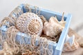 Net and seashells in drawer, closeup