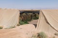 Net shade green house, Advanced agriculture in desert