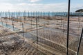 Net and wooden pole for entrap algae.