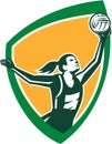 Netball Player Catching Ball Shield Retro