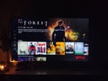 Netflix app on tv screen playing and the `The Forest` series logo behind