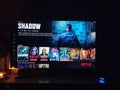 Netflix app on tv screen playing and the `Shadow` series logo behind