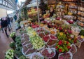 Store with an assortment of different color tulips