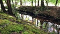 Netherlands - Ermelo - little water stream