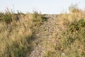 Dutch dikes are often made by using basalt blocks