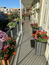 Balcony with flower boxes with geraniums and other summer good plants.