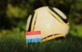 Netherlands national flag on wooden stick stabbed in grass. World Championship 2022. Euro 2020. Flag of Holland and blurred