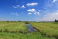 Netherlands polder landscape of Zaandijk