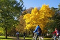 Dutch school children cycling in colorful landscape