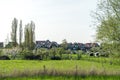 Netherlands,Wetlands,Maarken, a herd of cattle standing on top of a lush green field Royalty Free Stock Photo