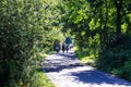 View on group of cyclists on weekend trip on cycling track Royalty Free Stock Photo