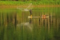 Netting fish.