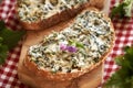 Nettle butter - homemade bread spread made of wild edible plants in springtime Royalty Free Stock Photo