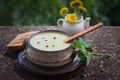 Nettle cream soup with black and red pepper