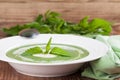 Nettle cream soup with sour cream