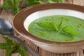 Nettle cream soup Royalty Free Stock Photo