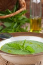 Nettle cream soup