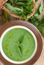 Nettle cream soup