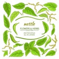 Nettle elements set