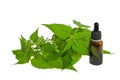 Nettle extract