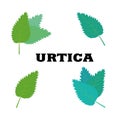 Nettle green vector illustration set. Vector nettle logo Royalty Free Stock Photo