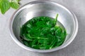 Nettle infusion in a bowl