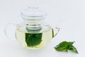 Nettle infusion in glass teapot with fresh nettle leaves